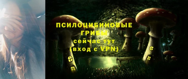 эйфоретик Волоколамск