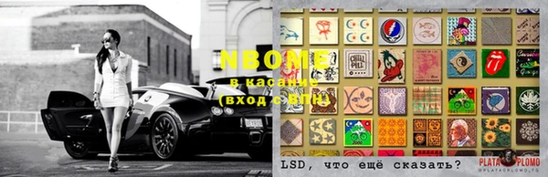 стаф Волосово